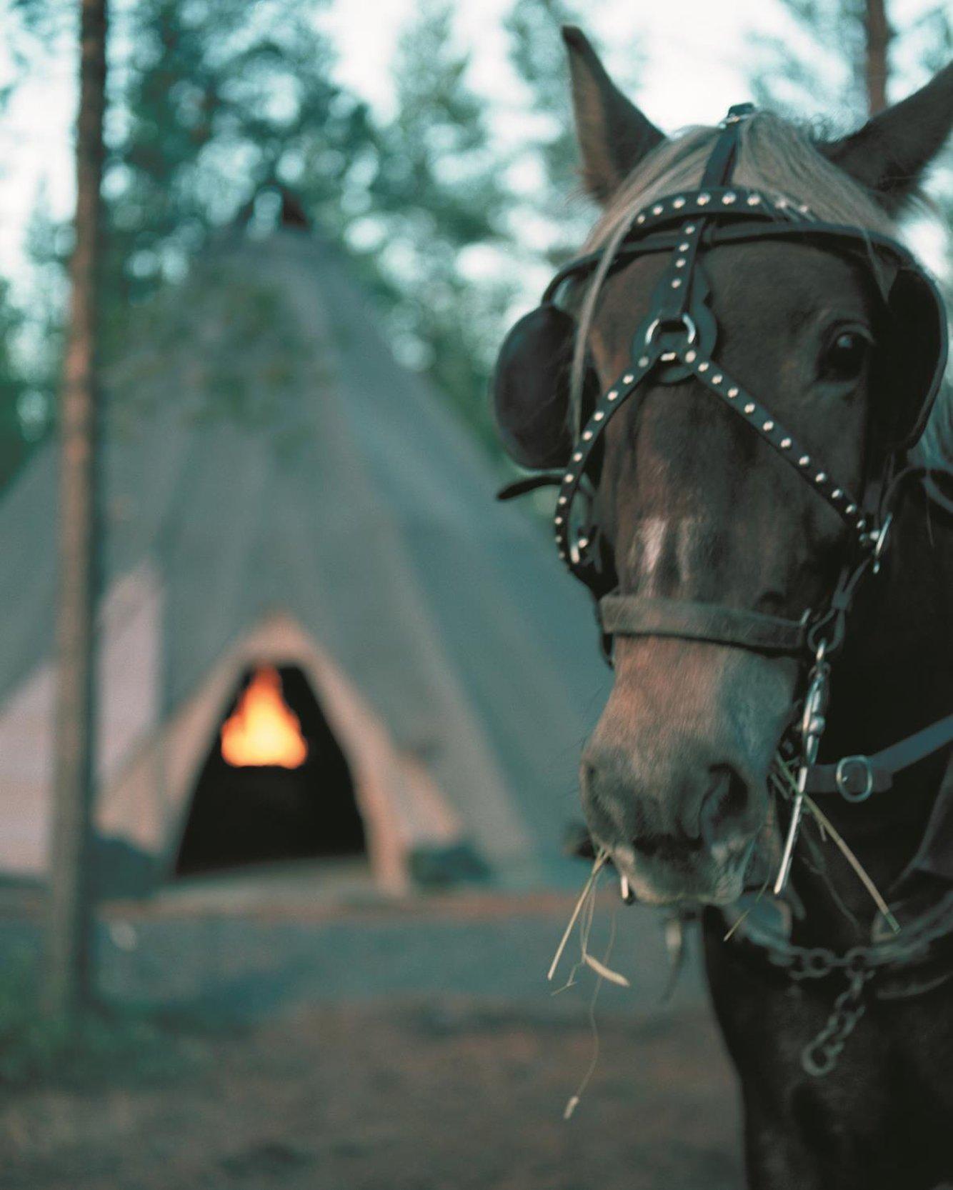 Nordkalotten Hotell & Konferens Luleå Kültér fotó